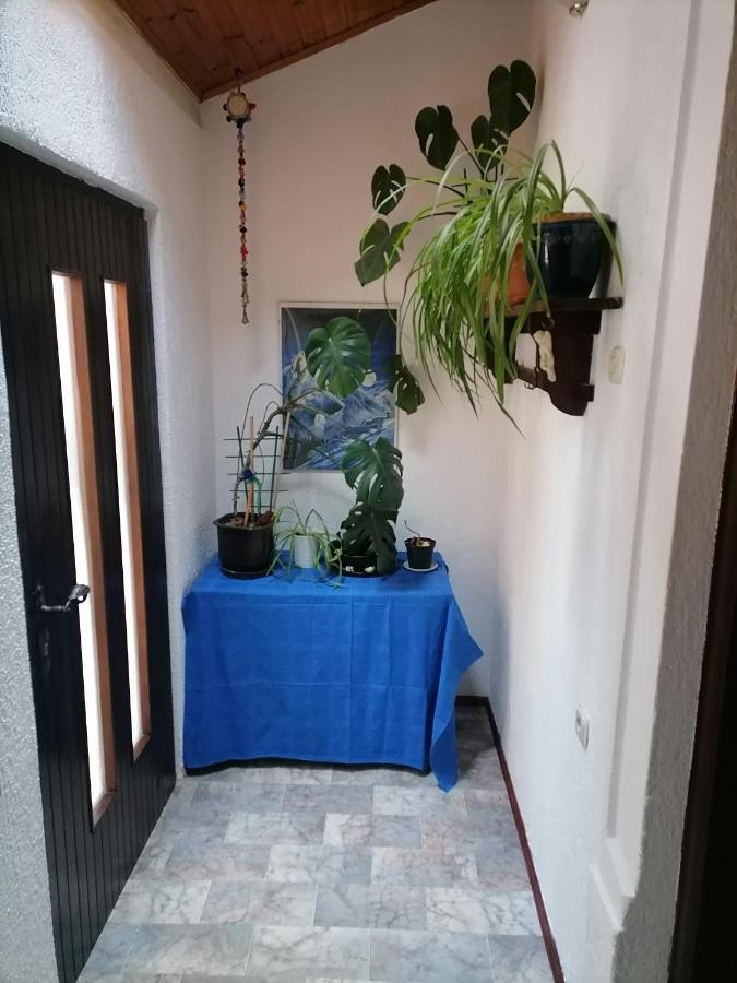 Apartman Zepina Pula Exterior photo